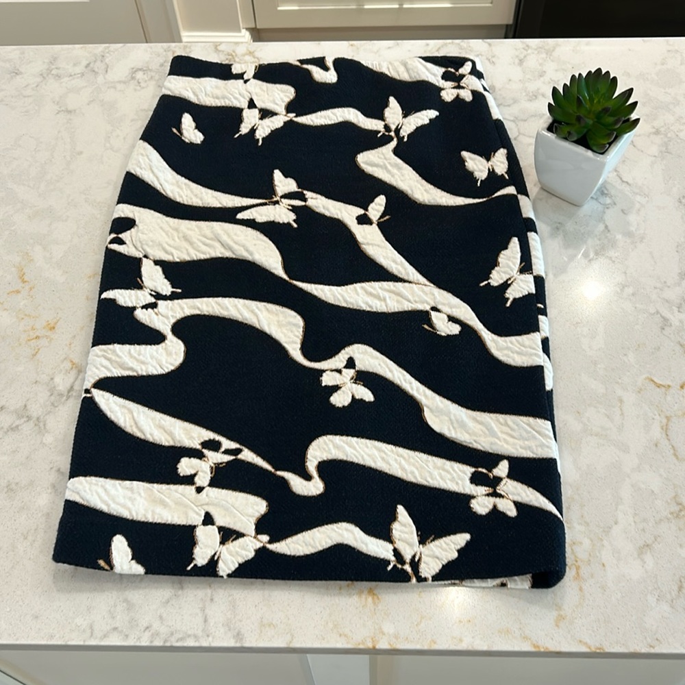 Ann Taylor Pencil Skirt